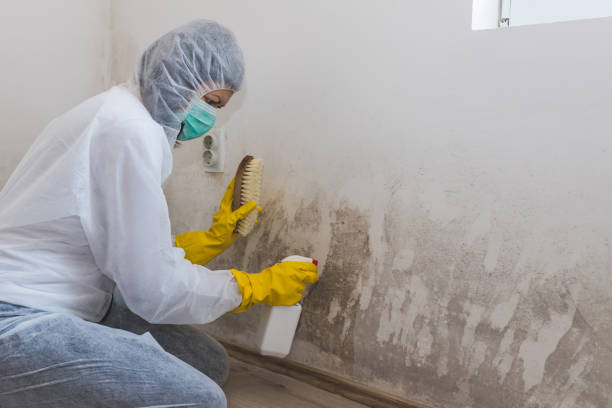 Crawl Space Mold Removal in Cheverly, MD