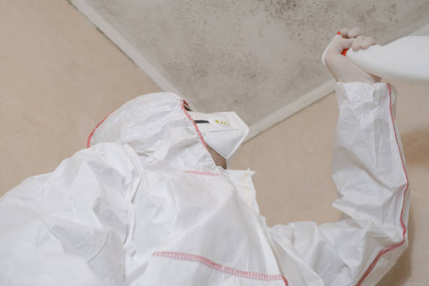 Best Emergency Mold Removal  in Cheverly, MD